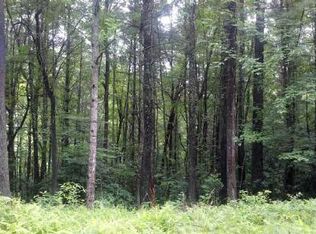 Trac2 Harrison & Ada Rd, Blue Ridge, GA 30513