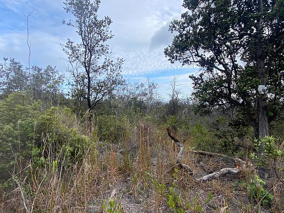 4th image of Aloha Blvd Lot 6