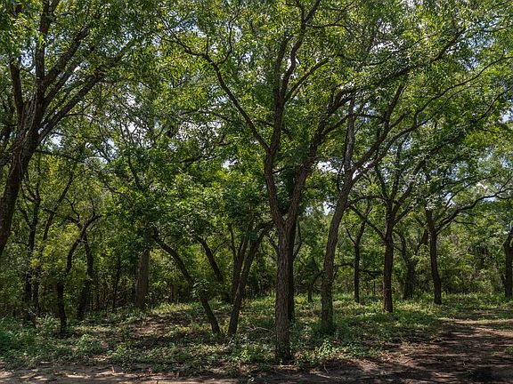 Tract 14 - Shiloh Vista Ranch | Tolar, Texas