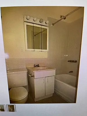 Rented by Manhattan Flats | media 22