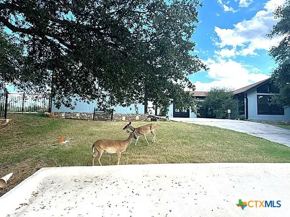 107 W Bluebonnet Rd, Horseshoe Bay, TX 78657