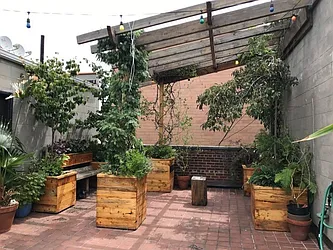 Rented by Bold New York