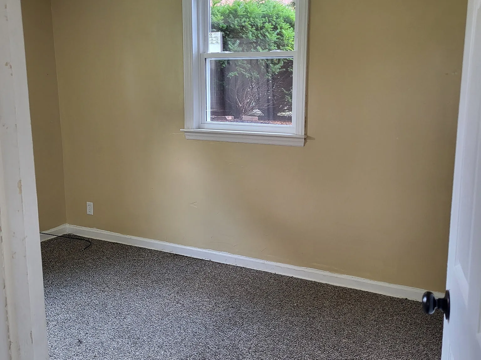 2 bed, 800 sqft, $1,000 — Photo 3