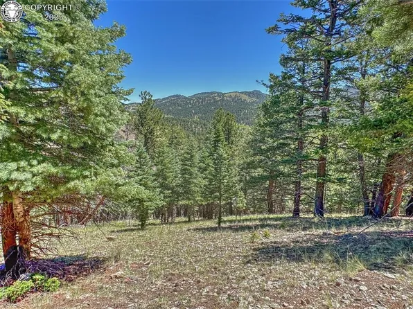 796 Matterhorn Cir N, Westcliffe, CO 81252