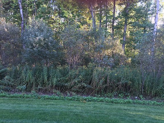 4th image of 46 Gentry Ln