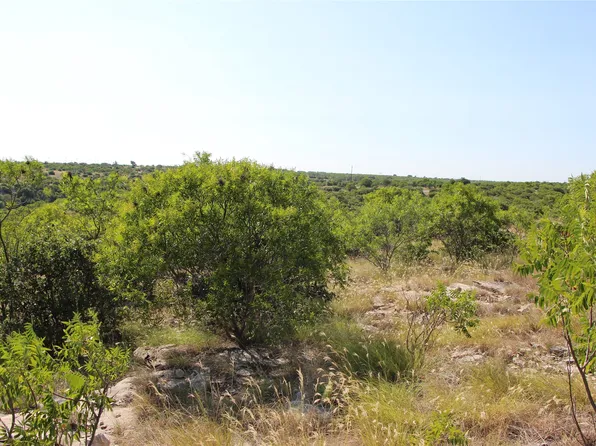 163 Baltrusol Dr, Graford, TX 76449