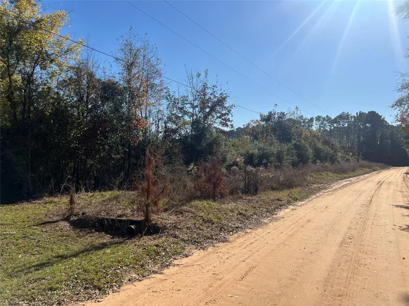 Tbd Shenandoah Ln, Livingston, TX 77351
