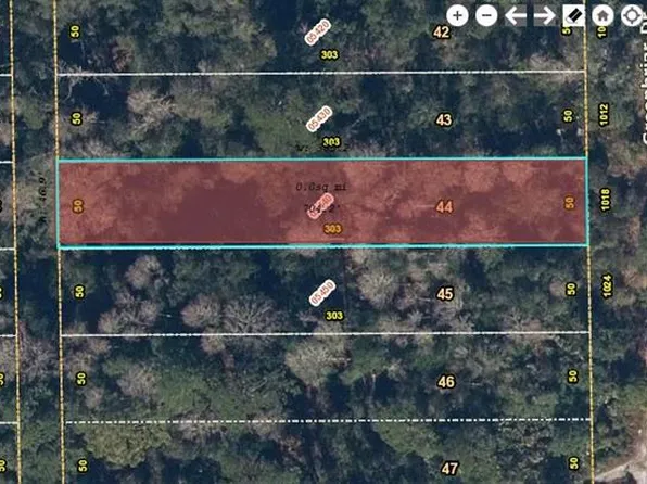 1018 Greenbriar Dr #44, Christmas, FL 32709