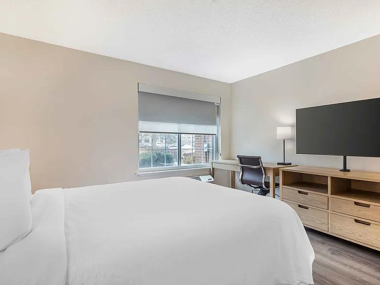 1 Bedroom Suite - 1 King Bed