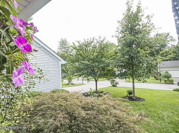 421 Wisteria Ave-1005