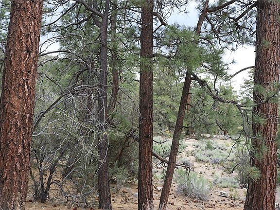 4th image of 26 Lakeview Tract