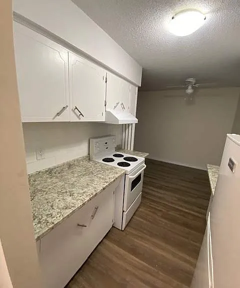 22182 Dewdney Trunk Rd — Photo 6
