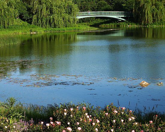 Chicago Botanical Gardens 