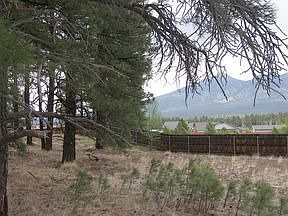 5th image of 2976 N Boldt Dr