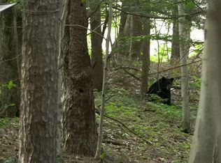 19 Stoutenburgh Drive, Hyde Park, NY 12538