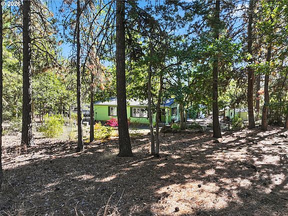 3rd image of 110 Goldenpine