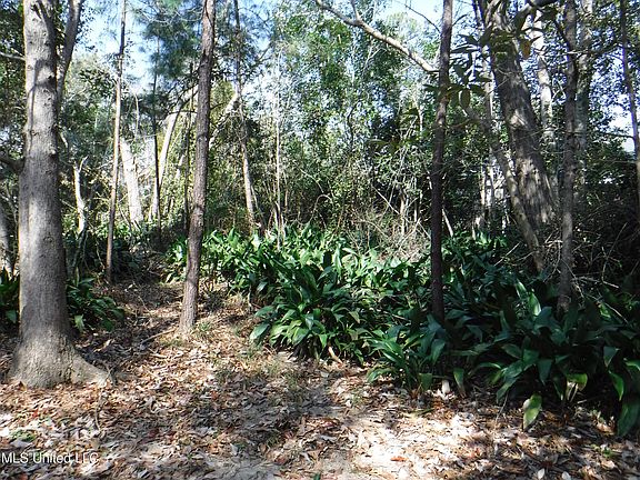 2nd image of 7846 Moanalua Way #10