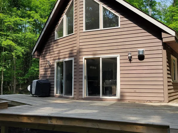1060 Matterhorn Ln, Bellaire, MI 49615