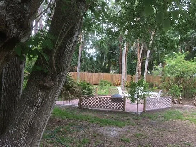 Fire pit area.