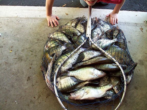 4/8/08 crappie catch