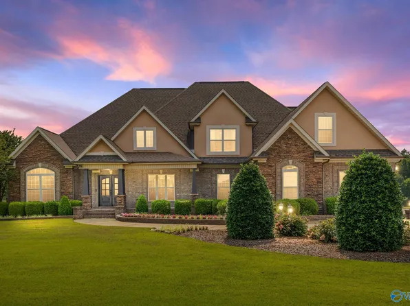 25608 Old School House Rd, Toney, AL 35773