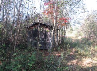 S Ward Branch Rd, Hawks, MI 49743