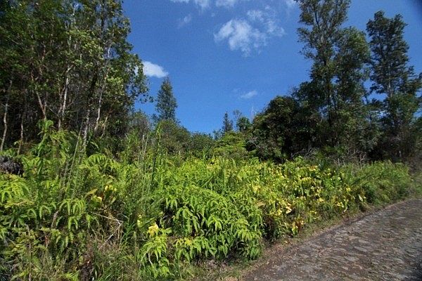 1st image of Road 3 Hopue Lot 3272