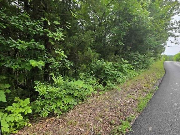 5th image of Buck Horn Rd