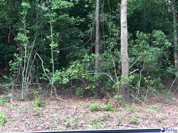 400 E Siesta Dr, Florence, SC 29505