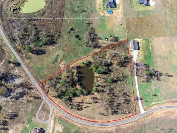 Falcon View Dr, Diana, TX 75640