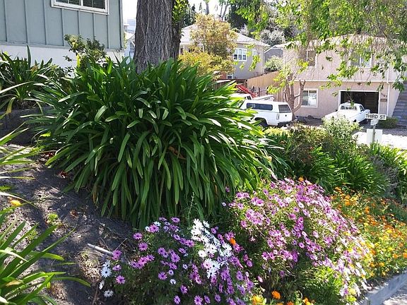 Nice views out of front bedroom window.