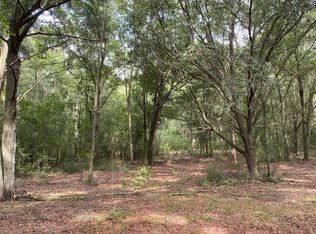 0 101st Pl, Mc Alpin, FL 32062