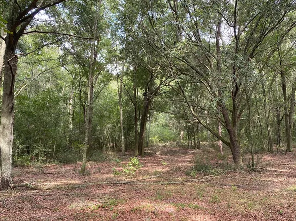 0 101st Pl, Mc Alpin, FL 32062