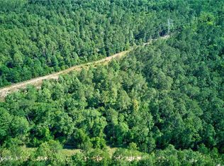 0 Evans Rd, Chunchula, AL 36521