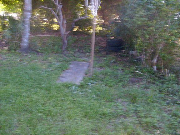 Large backyard - fenced lot