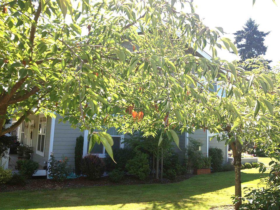 2nd image of 3103 NE 83rd St