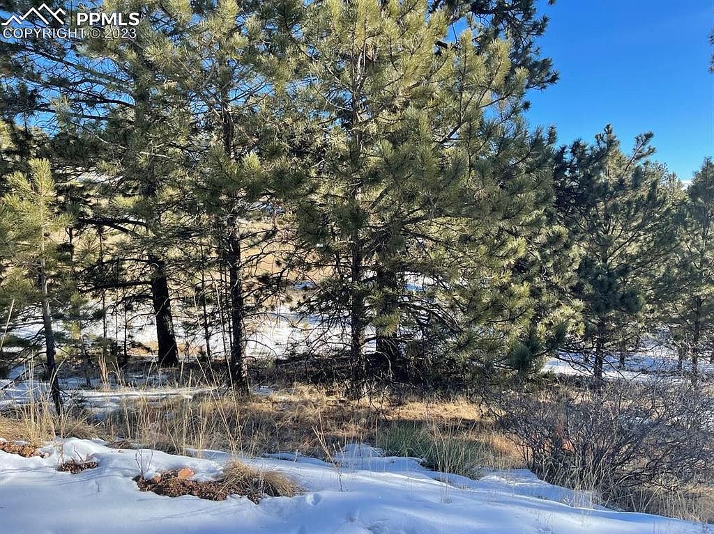 603 Pine Dr, Guffey, CO 80820 MLS 7422307 Zillow