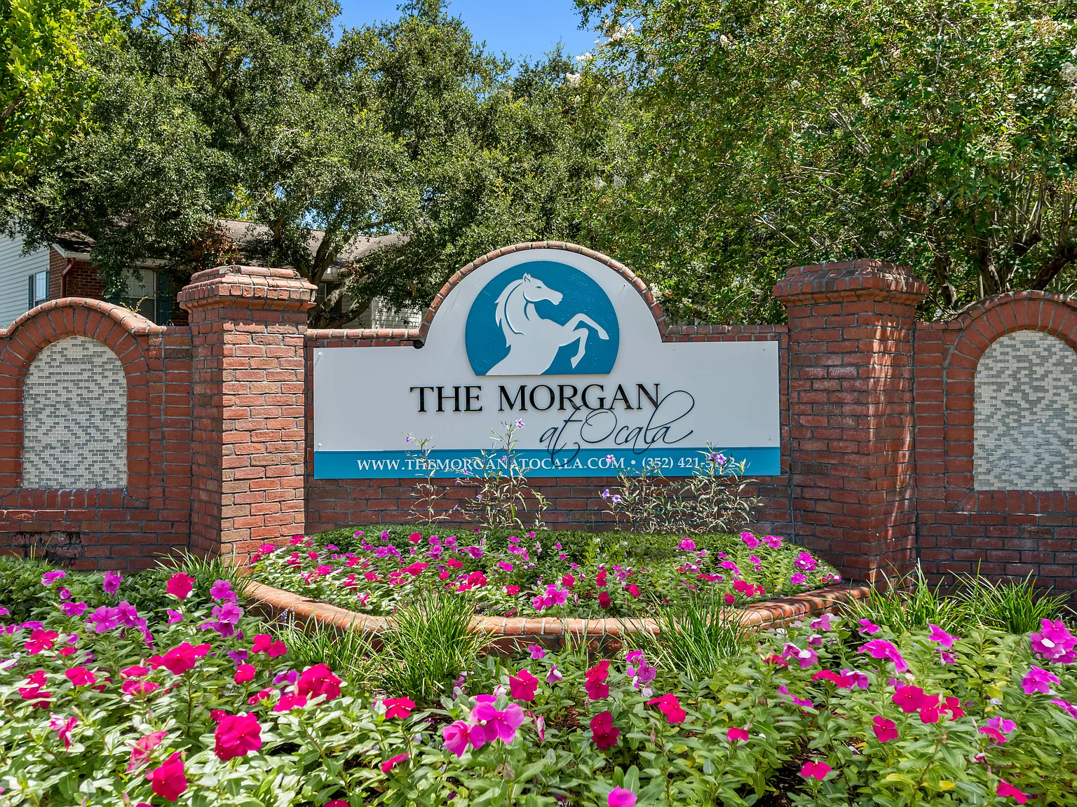 The Morgan at Ocala — Photo 3