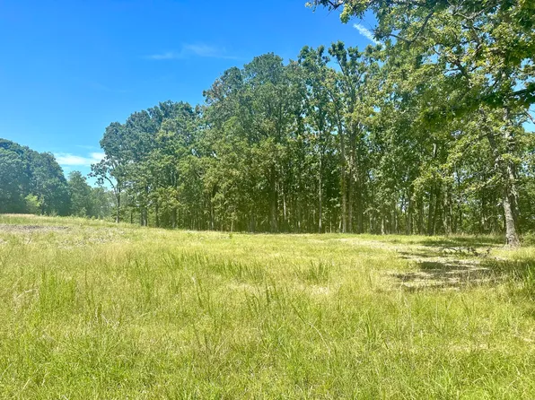 000 Eagle Ridge Road Lot 7, Protem, MO 65733