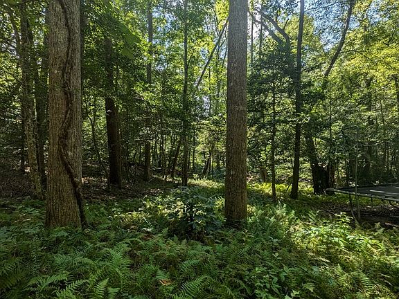 3rd image of 620 Blackberry Ln