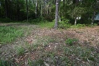 3rd image of 9176 Chunchula Georgetown Rd Lot 2