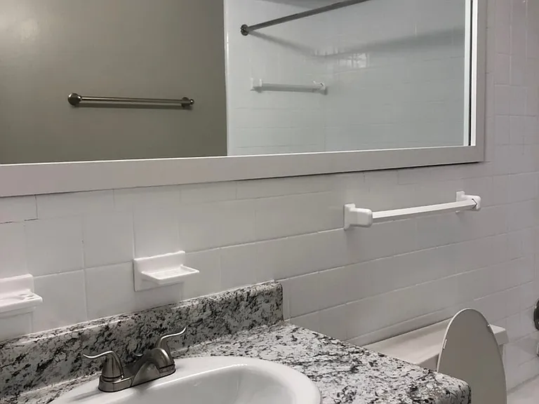 Shasta Daisy Bathroom