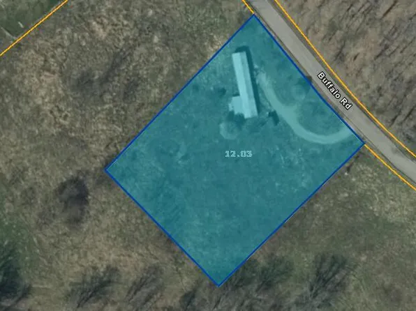 Buffalo Rd, Oneida, TN 37841