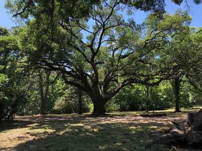 12823 County Road 190, Alvin, TX, 77511