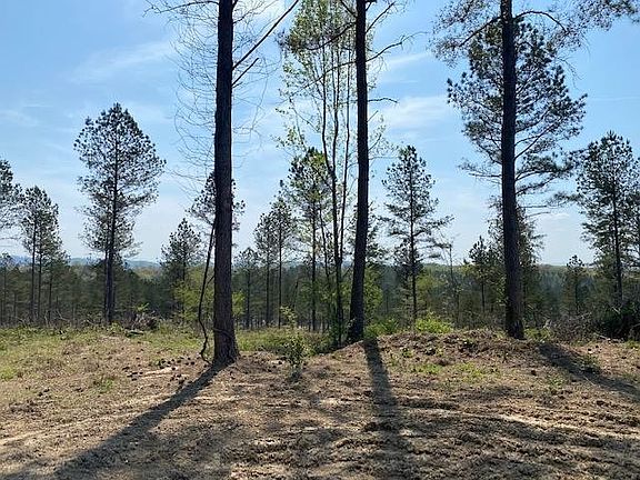 2nd image of 0 County Road 351
