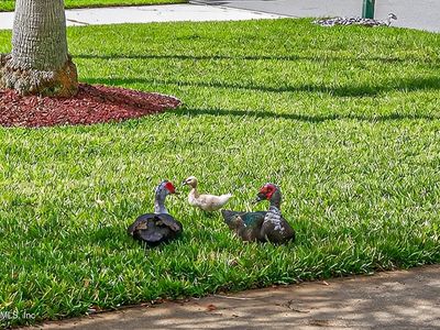 120 SOUTHLAKE Drive, Saint Augustine, FL, 32092