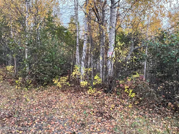 4842 S Horseshoe Lake Rd, Wasilla, AK 99623