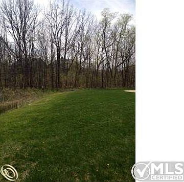 Wooded Lot
