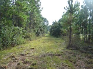 3202 E Osceola Rd, Geneva, FL 32732
