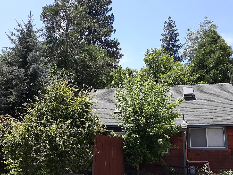 587 Wildrose Ln #40